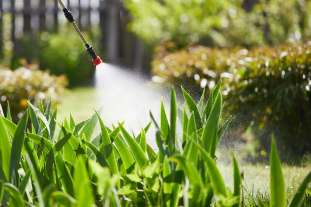 24/7 Emergency Wasp Removal experts in Bloomingdale, TN