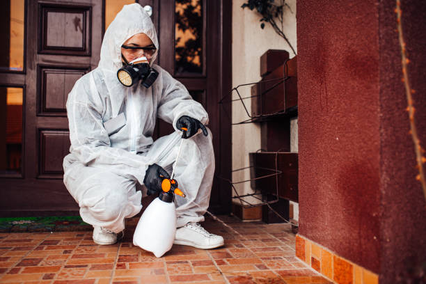 Reliable Wasp Removal contractor in Bloomingdale, TN by Show Me Pest Control
